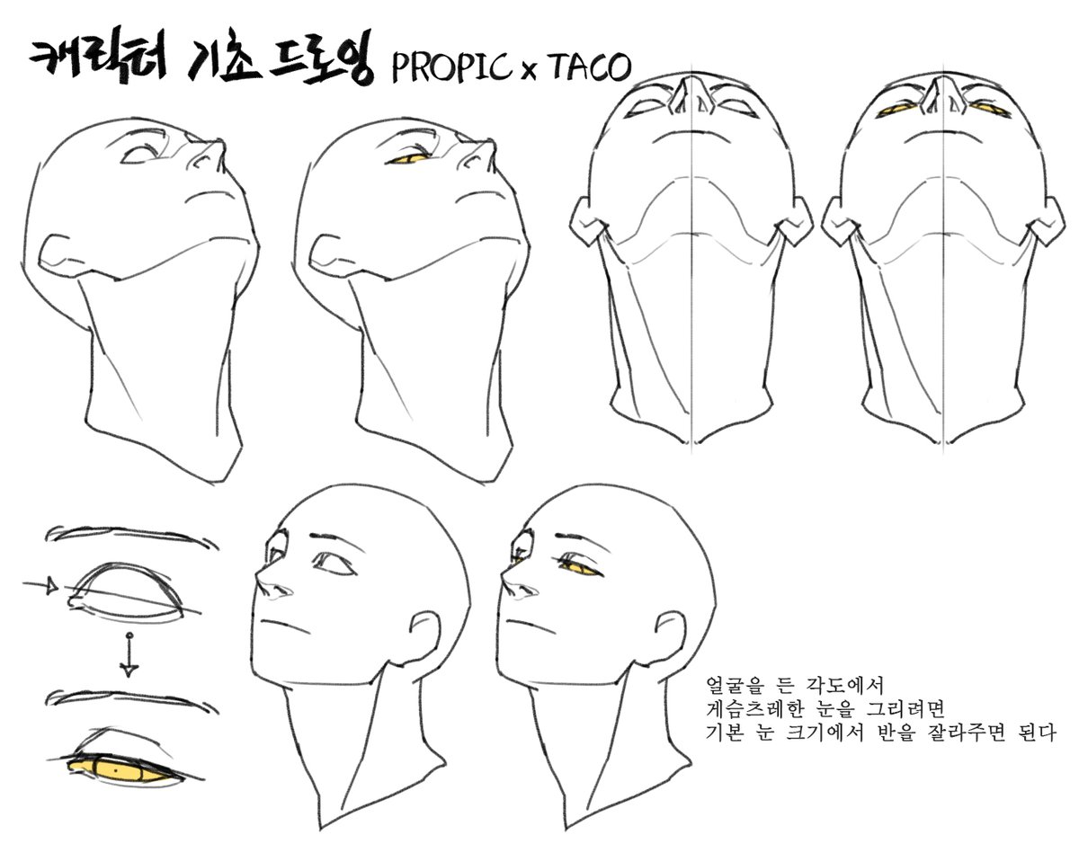 얼굴을 든 각도에서 게슴츠레한 눈을 그리려면 기본 눈 크기에서 반을 잘라준다 