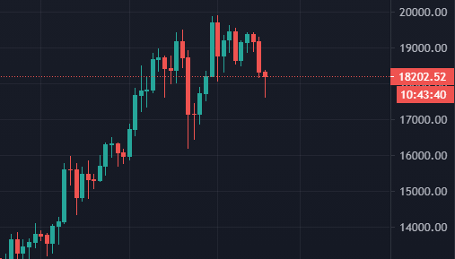 no0b_master's tweet photo. 1 year chart, daily candle. Still bearish the next day? https://t.co/IUY95XV9Zb