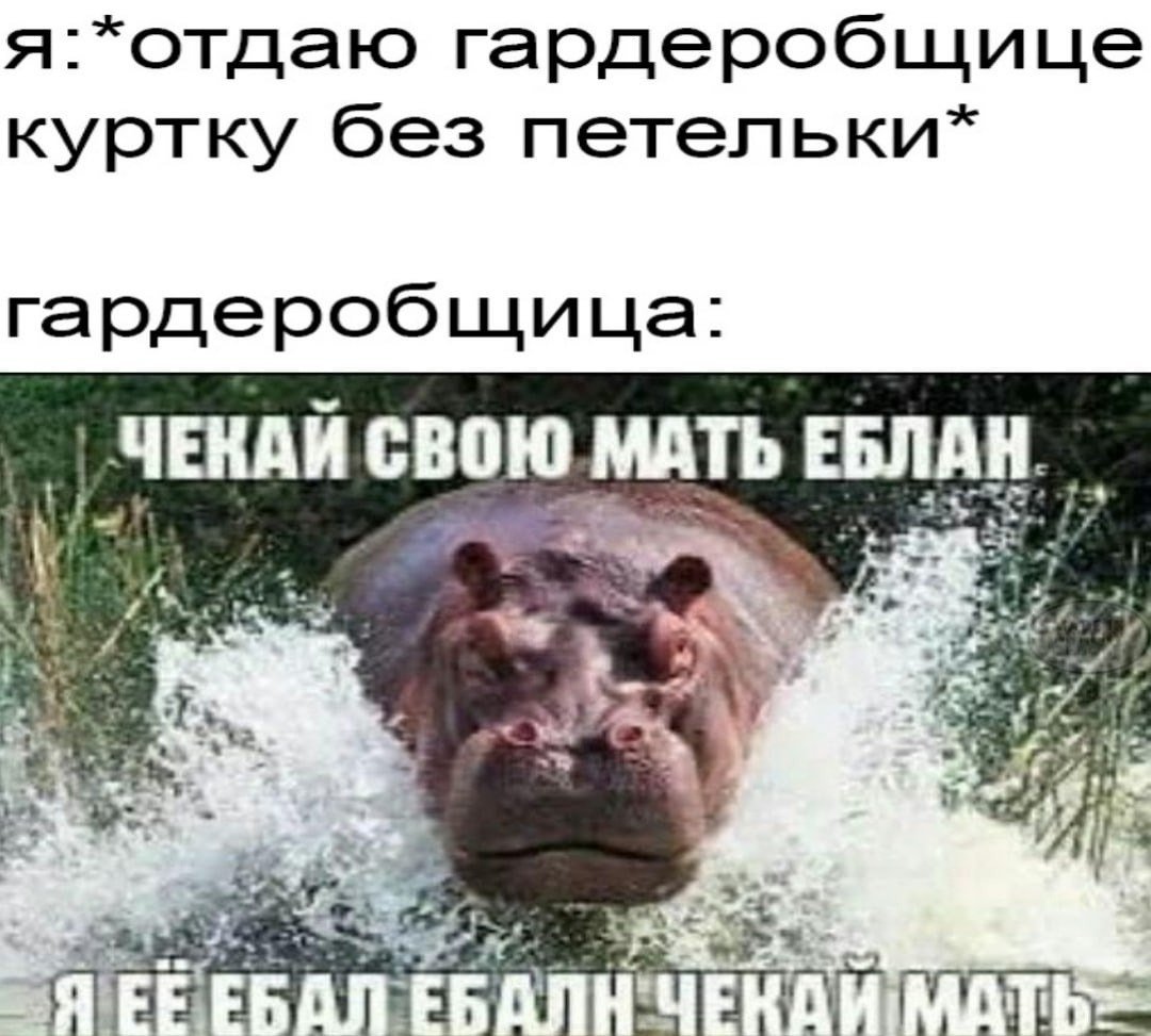 EozHDT5XEAwcVB0?format=jpg&name=medium