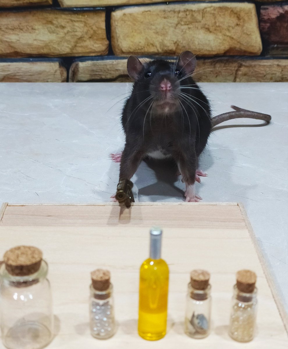 She came to the shooting range🐭🔫🎯