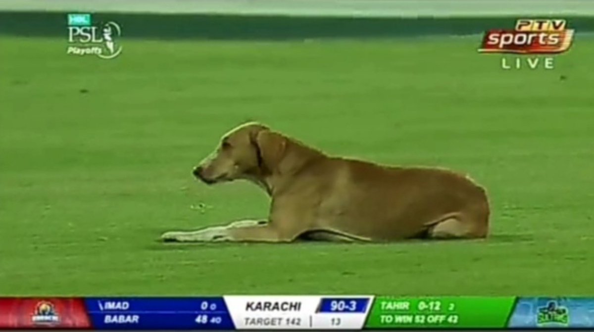 Babl00__'s tweet photo. Once again in tnis league. May be it is something analyst😅
#JSvsKT
#LankaPremierLeague2020
#PakistanSuperLeague5 https://t.co/8tWis8HhA5