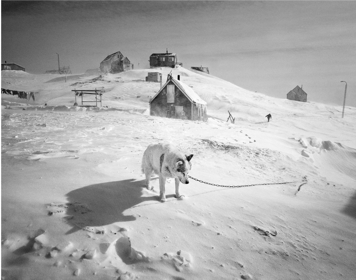 GalleryFlo's tweet photo. Ragnar Axelsson. 
Sermiligag Groenland, 1997
https://t.co/dzappgGFo6
https://t.co/EZaMxvnhPB
#Groenland #RagnarAxelsson #Wintershow #exhibition #rax #blackandwhitephotography #art #snow #flopetersgallery https://t.co/R0zapcuff3