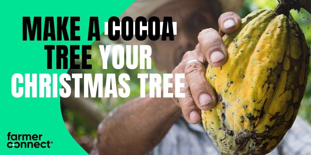 farmerconnectSA's tweet photo. #FarmerConnect is happily sponsoring 10 #cocoatrees via #Treegether. Sponsor yours here: https://t.co/bC8sXjwpmR
Support the farmers directly at origin and receive chocolate from your tree for #Christmas!
#ThankMyFarmer #Blockchain #Traceablecocoa #Traceablechocolate https://t.co/pxX8NLNb60