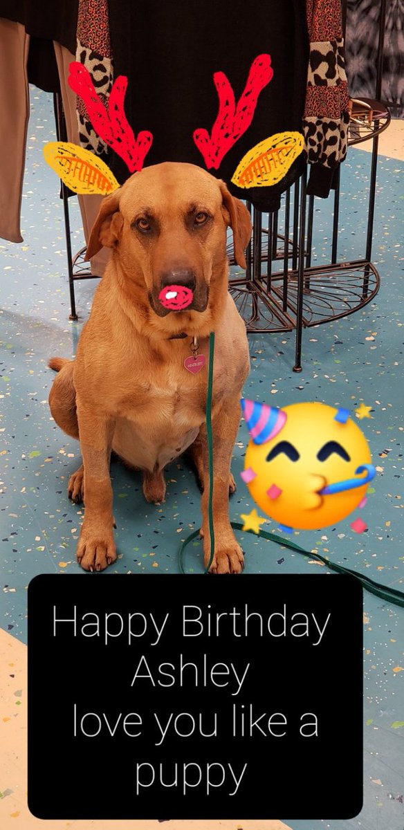 Happy Birthday Ashley DeRamus