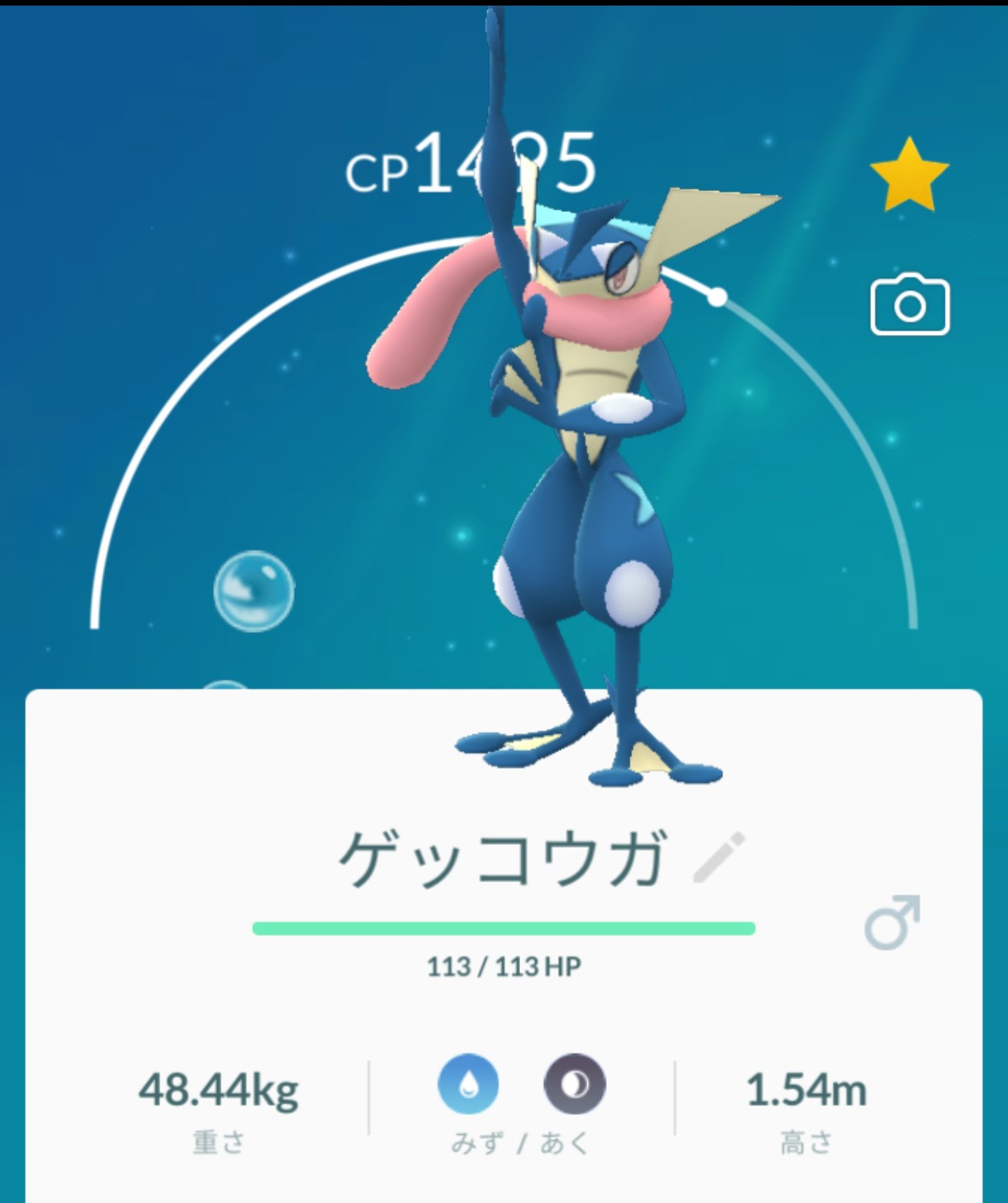 ニンジャ参謀 Swasw 今日のポケモン ゲコガシラ ゲッコウガ カエンジシ ポケモンgo T Co Vu8rzxseh5 Twitter