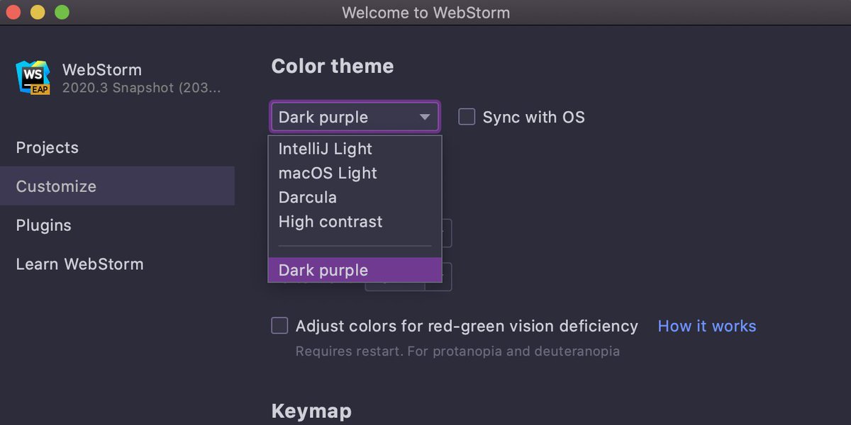 Jetbrains webstorm 11 - plzname