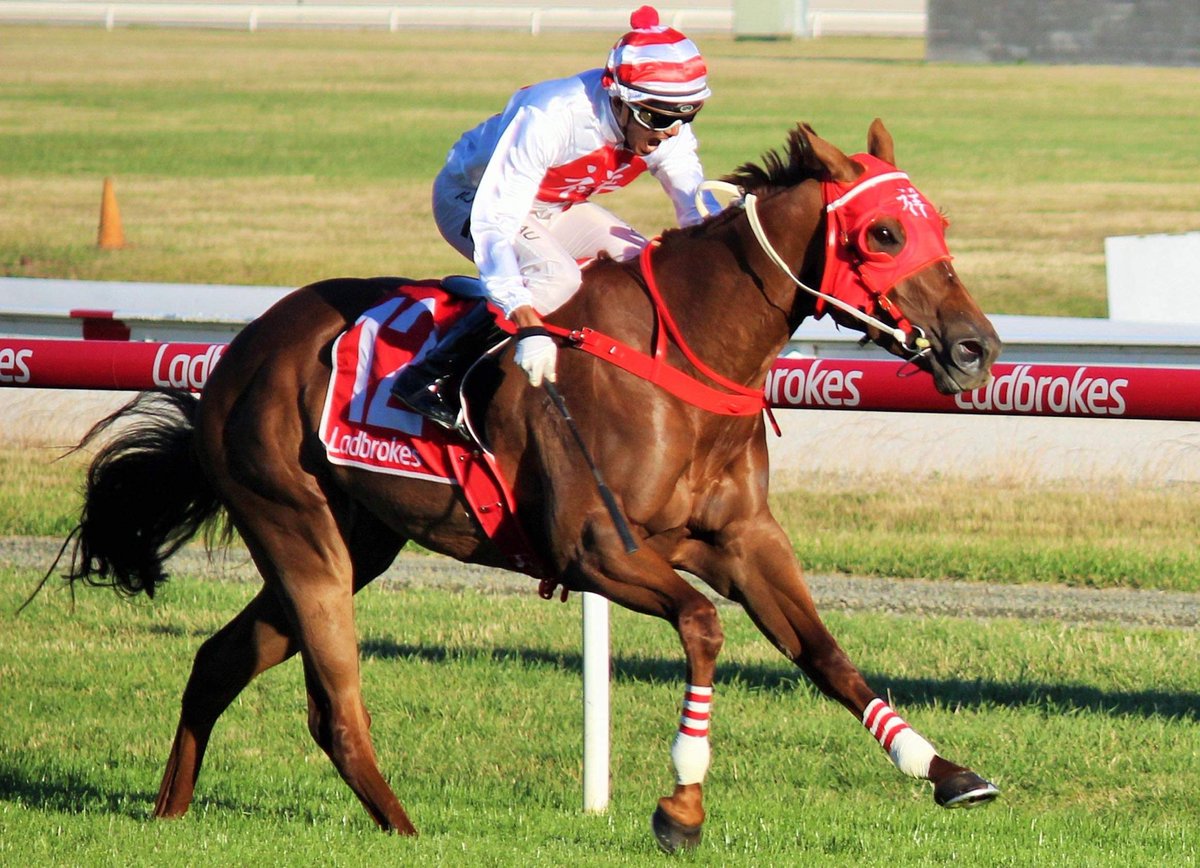 Kippoui Hime won the Buckby Motors Maiden
MDN-SW, 1400m. Great support from <a href="/YassyRacing/">Yassy.Racing</a> and thanks to <a href="/ayano0323/">アヤノ</a> for the hardwork and the owner <a href="/Drcopa58/">Dr.copa</a> 🇯🇵