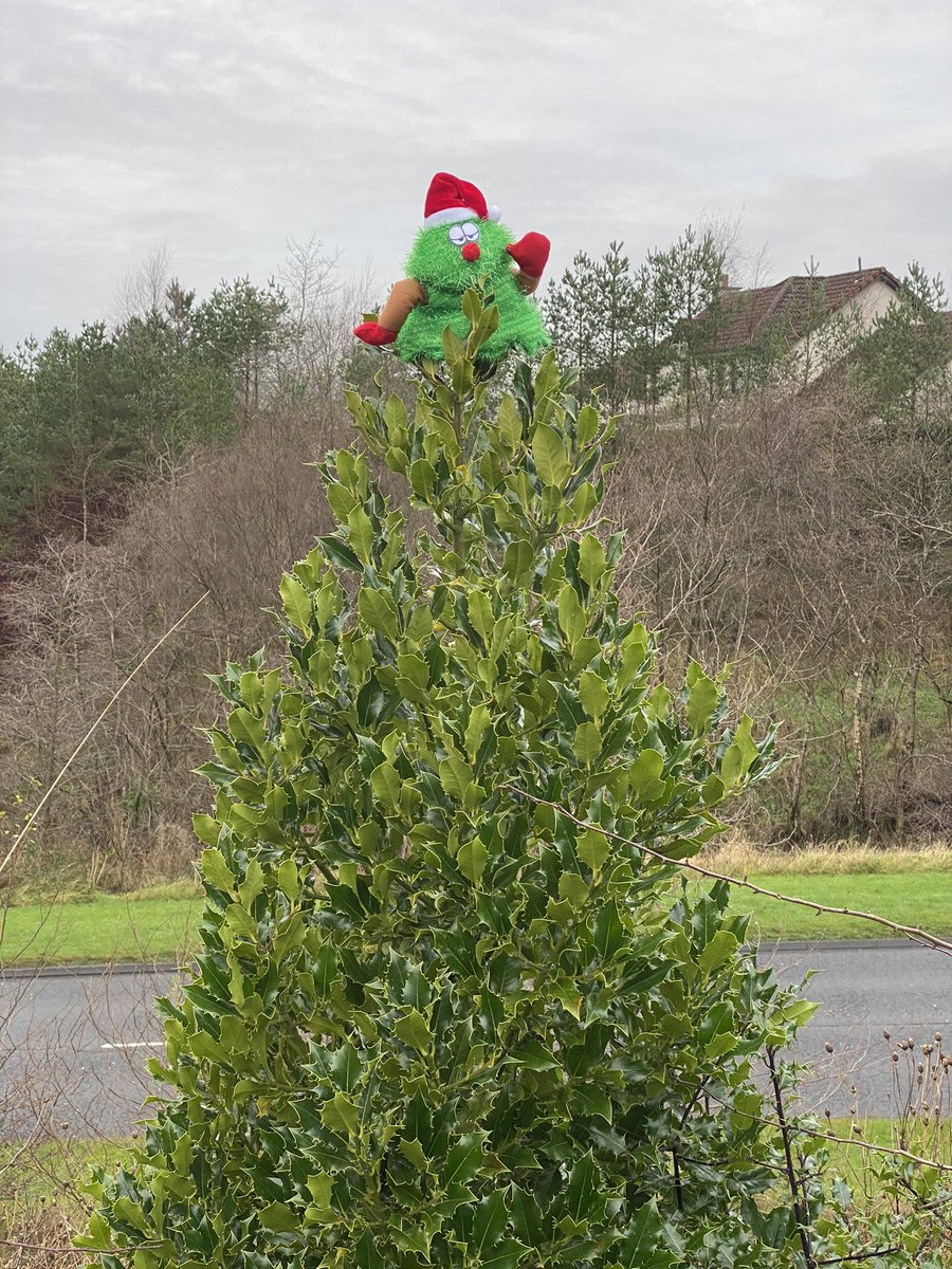 Brought a smile during my (not so early because it’s dark) morning walk! #ChristmasCountdown