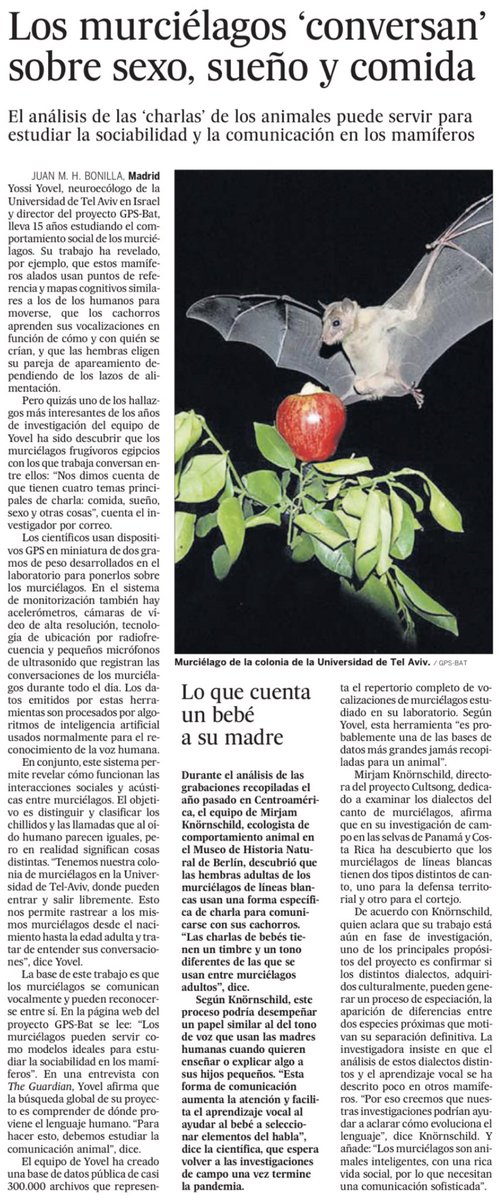 Ten, mi querida <a href="/LibreMurcielaga/">La Murciélaga 🧛🏽‍♀️</a>.