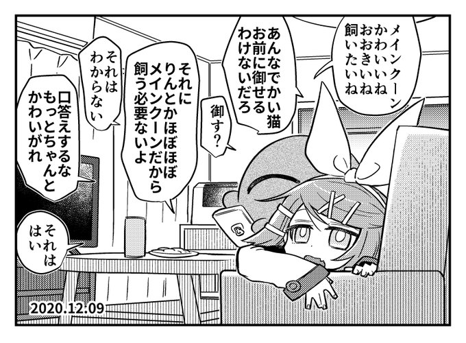 メインクーンイマジナリーリンちゃん日記 