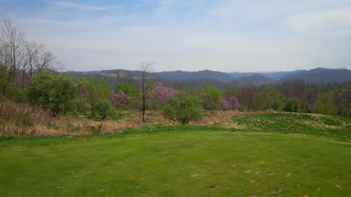 Blind Shots Podcast tweet media