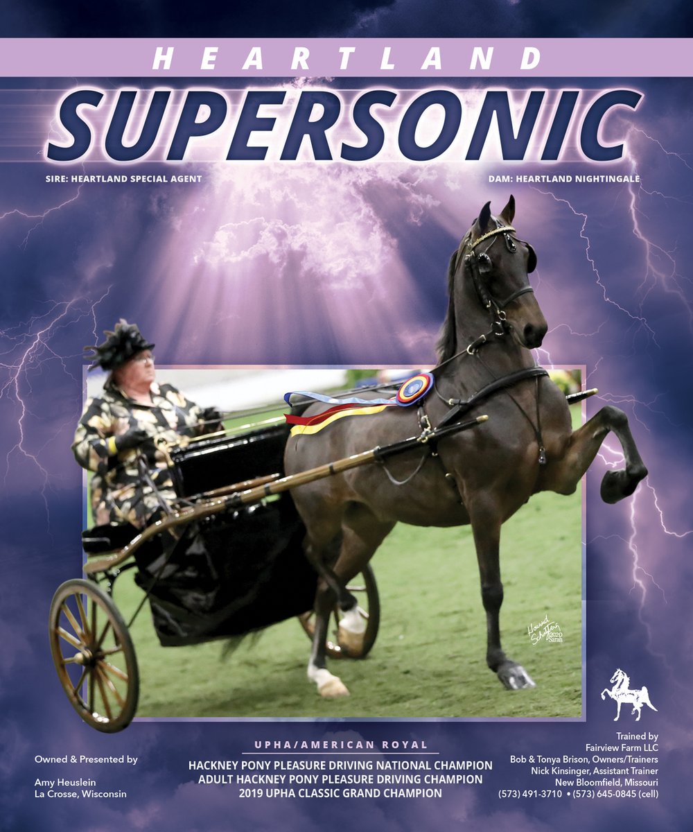 TNH1865's tweet photo. Heartland Supersonic &amp; Amy Heuslein: UPHA/American Royal Hackney Pony Pleasure Driving Champion and Adult Champion
#nationalhorseman #uphaamericanroyal #amyheuslein #fairviewfarm #pleasuredriving #hackneyhorse https://t.co/qsmMDDngIB