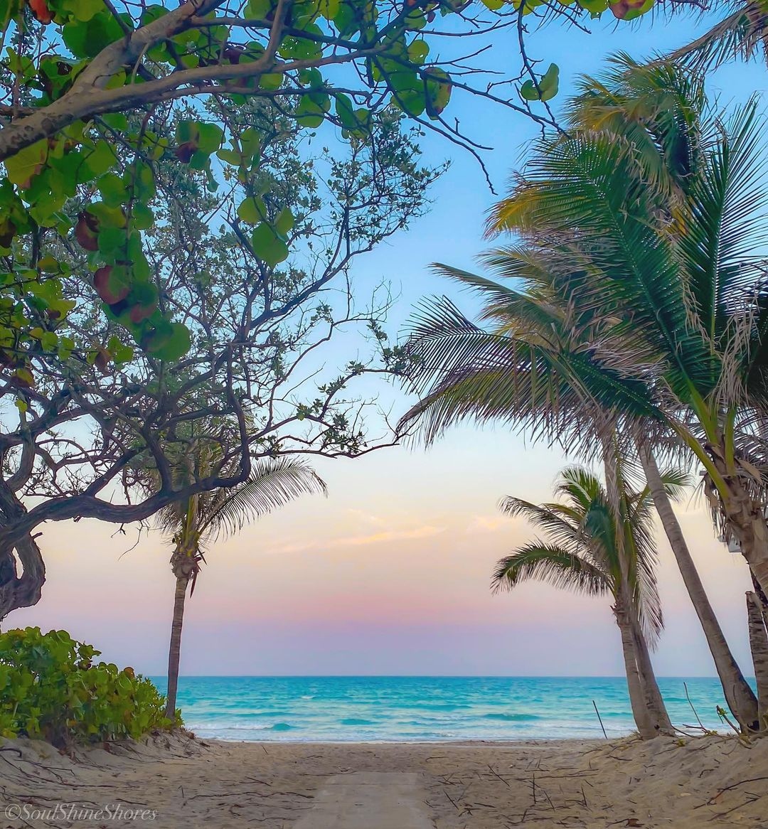 ⁠”I followed my heart and it led me to the beach” 🏝 #beachlifemindset⁠ #livingforthenextbeachday
photo: @soulshineshores⁠
#northbeach