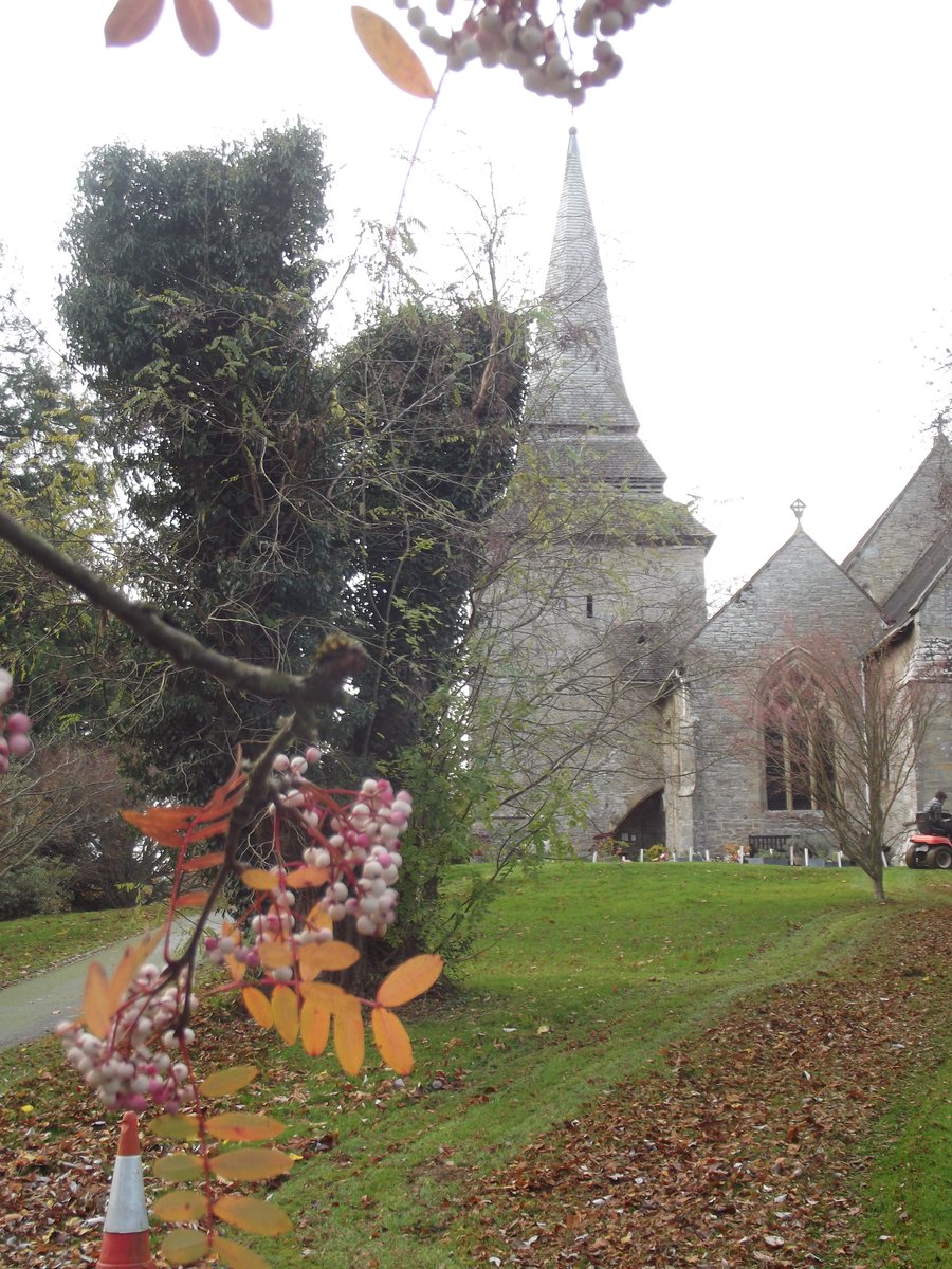 PosyHill1's tweet photo. @CarolineIrwin3 Thanks, I’d forgotten about the berries in Kington churchyard the other week - even managed to get the cone & mower it was directing in shot, just @SlCathy @chartres_Fiona
#AnimalsInChurches #WinterInChurches https://t.co/8aG7vpnHei