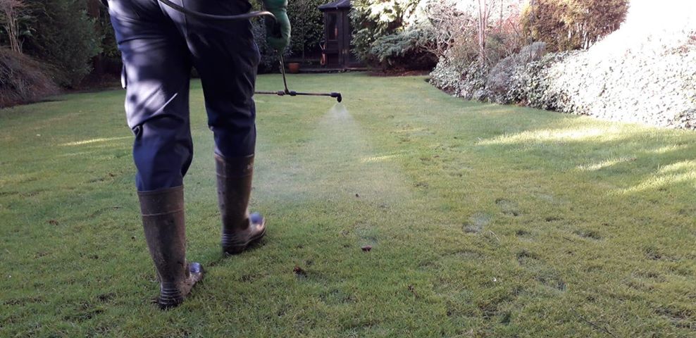 ProLawnLtd's tweet photo. If you see us spraying at this time of the year it's predominantly to target the moss which tends to thrive through the autumn &amp; winter months. 

The treatment we apply will also strengthen &amp; protect the grass plant up for the harsh ever changeable weather in Scotland! 
#Lawncare https://t.co/SV5m7ygcS6