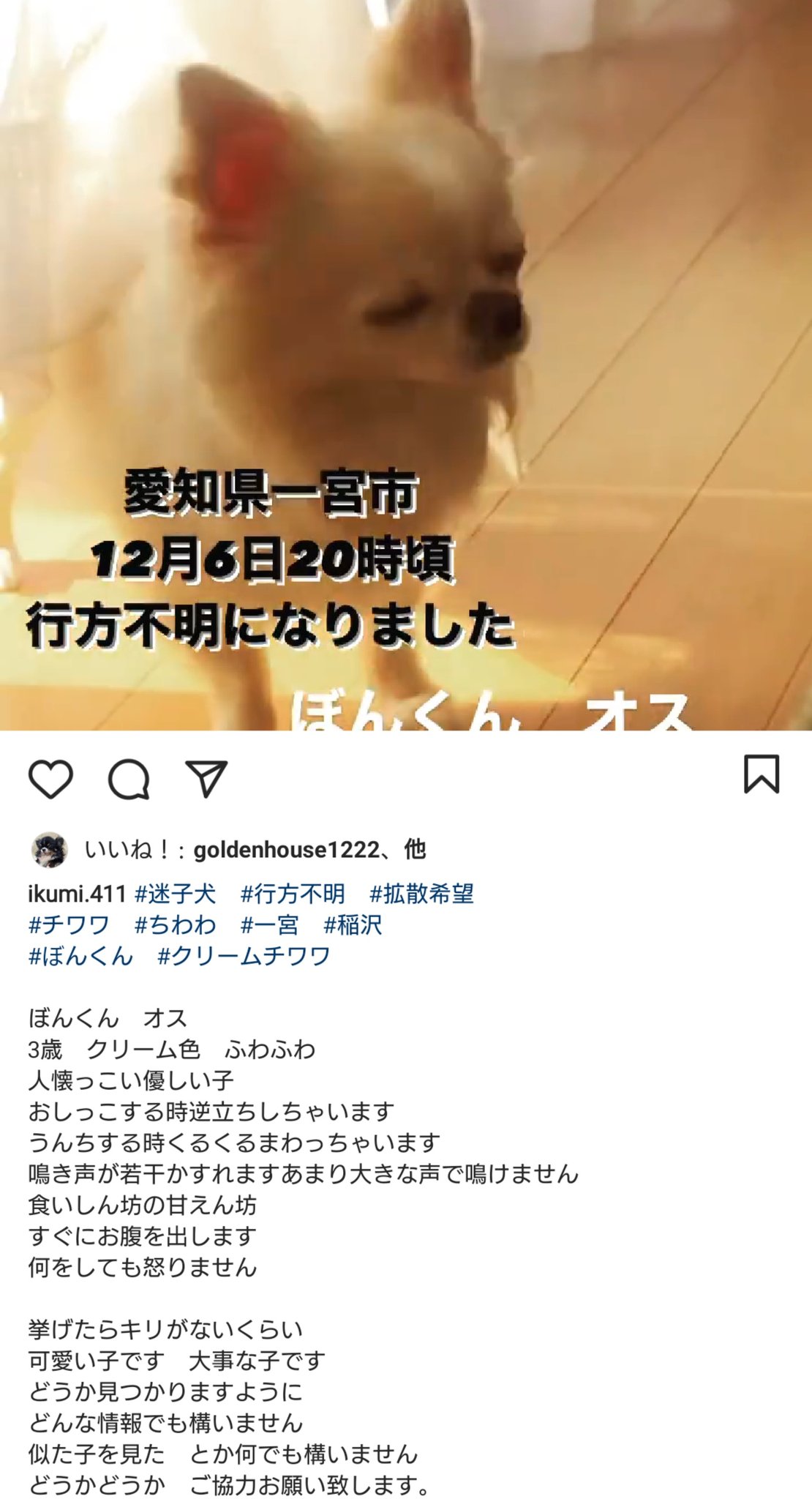 ふらんまま ゚ 拡散希望 Instagramからです 掲載の許可を得ています 場所 愛知県一宮市 日時 12月6日時頃 ロングコートチワワのぼんくんが 行方不明似なってしまったようです 一日でも早く ぼんくんがご家族様の元へ帰れますように 拡散を ふらんまま ゚ 拡散希望 Instagramからです 掲載の許可を得ています 場所 愛知県一宮市 日時 12月6日時頃 ロングコートチワワのぼんくんが 行方不明似なってしまったようです 一日でも早く ぼんくんがご家族様の元へ帰れますように 拡散を