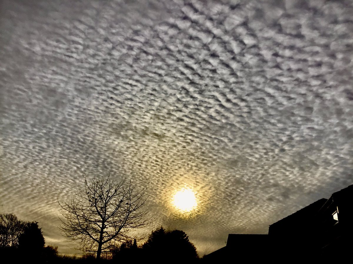 ⁦<a href="/Hudsonweather/">Paul Hudson</a>⁩ 

Methley this morning