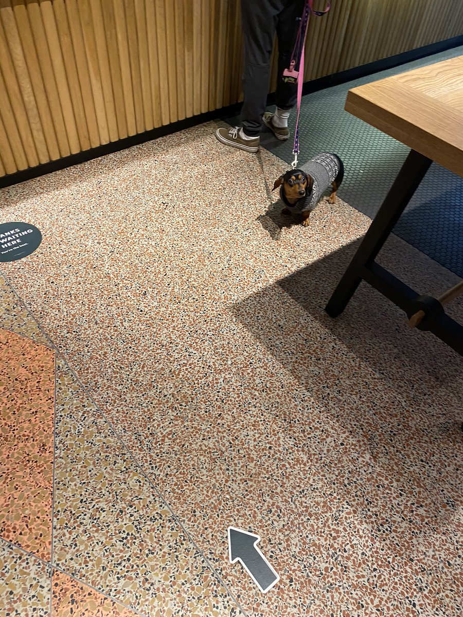 . <a href="/Starbucks/">Starbucks</a> I’d like to report a fellow customer who was trying to intimidate me / stare into my soul