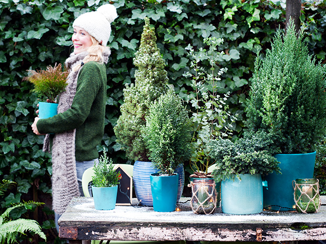 FormedAD's tweet image. Great tips on how to transport your garden plants when you are moving homes - zcu.io/jwpQ 🌿

#movinghouses #garden #gardenplants #plants #transportyourplants #londonarchitect #homeowner #homeimprovement