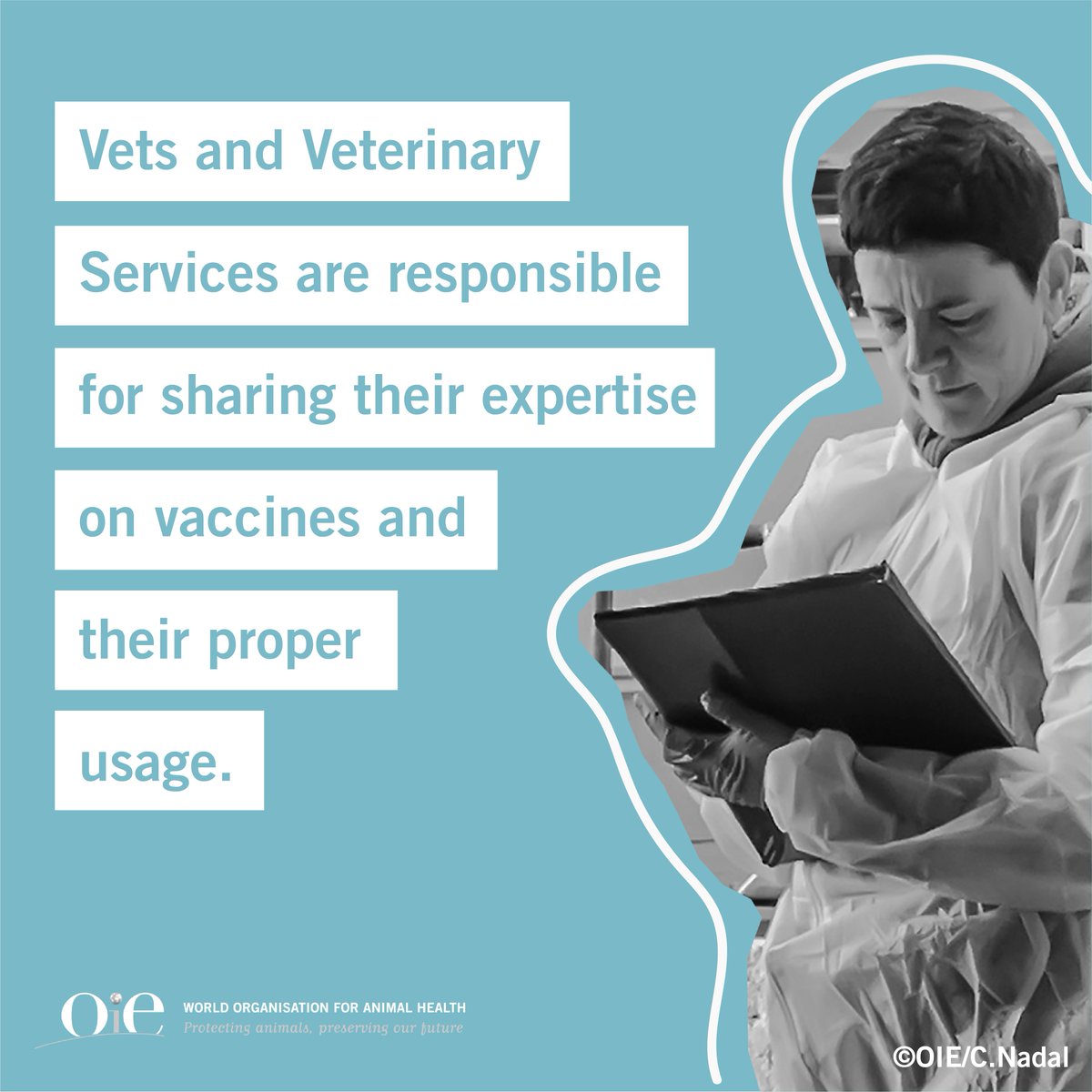 World Organisation for Animal Health tweet media