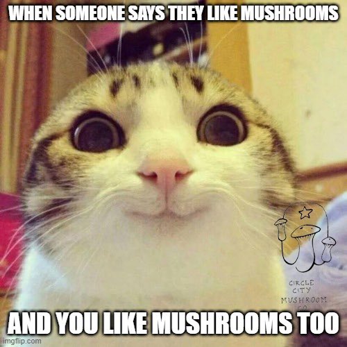 #mushrooms #oystermushrooms #gourmetmushrooms #indianapolis #freshproduce #veganindy