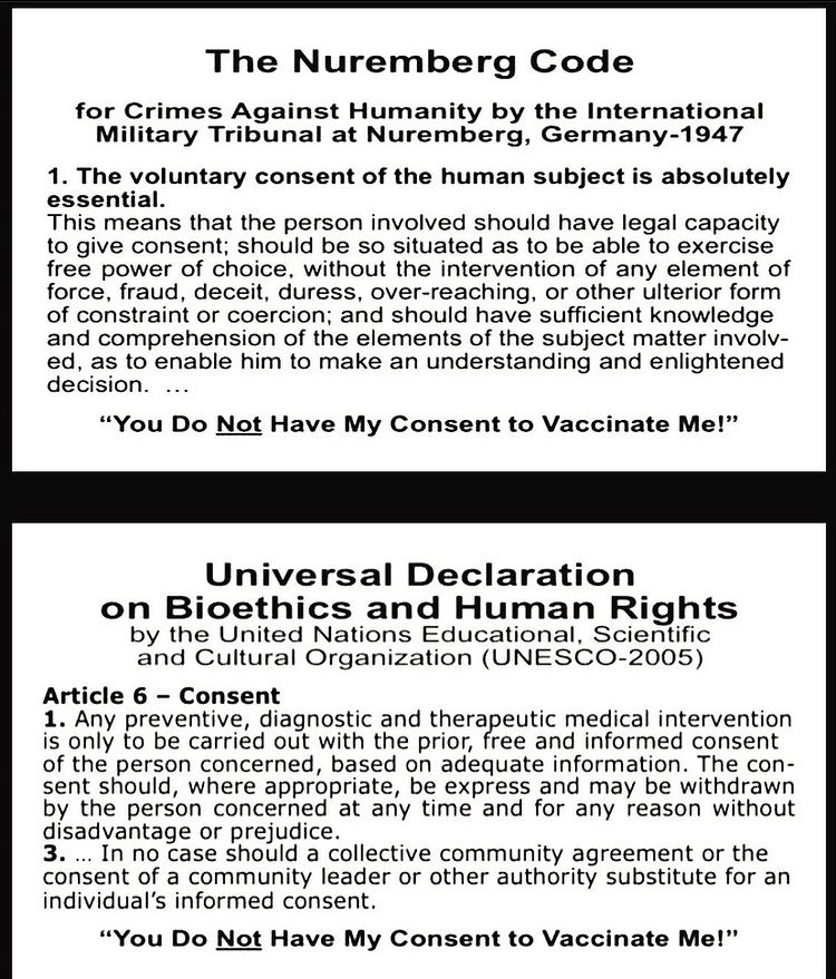 There is going to be lots of very angry people soon
Once the truth is exposed and this is passed.
If you were complicit in This Devastating false flag
You will be held accountable.
Jah Know
#nurembergtrials