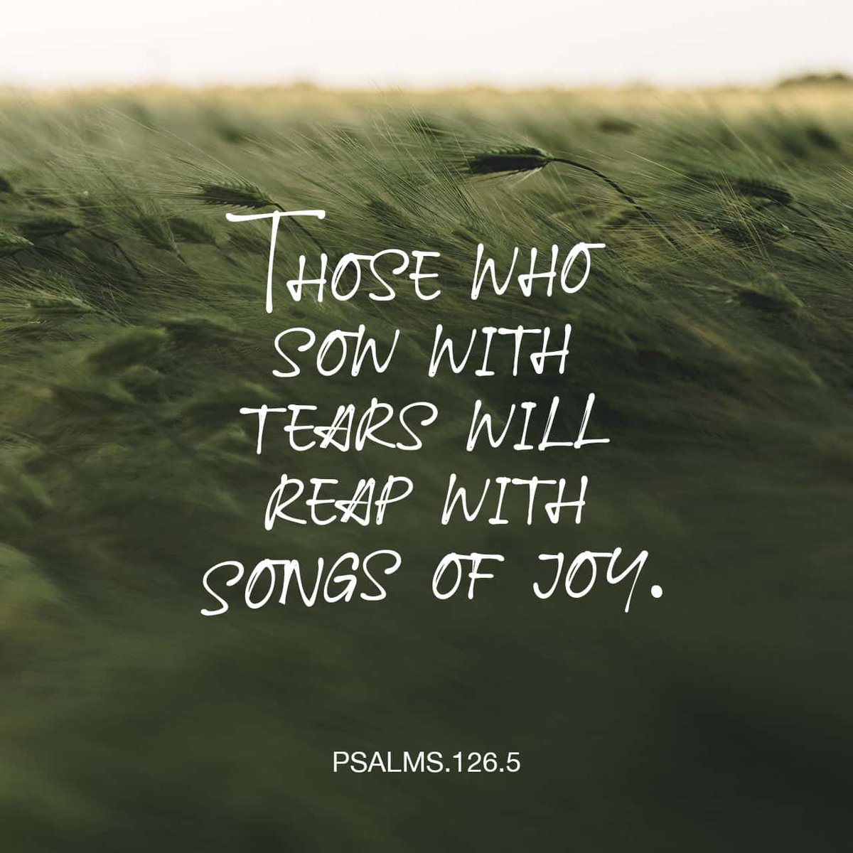 Psalms 126:5 AMP
5They who sow in tears shall reap with joyful singing.