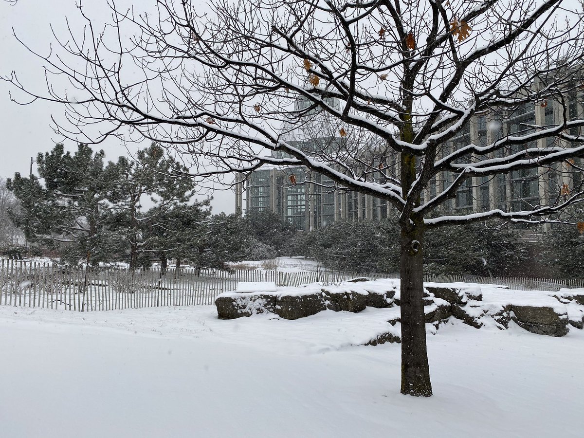 greystone75's tweet photo. Snow run done. #runningisagift #longtimerunner #loverunninginthesnow https://t.co/lwMUNOGAZe