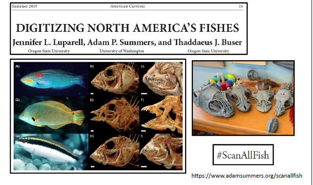 DrDoctorHannah's tweet photo. Was wondering if #ScanAllFish would make an appearance and it did! @Fishguy_FHL https://t.co/hd3OG3GhPo