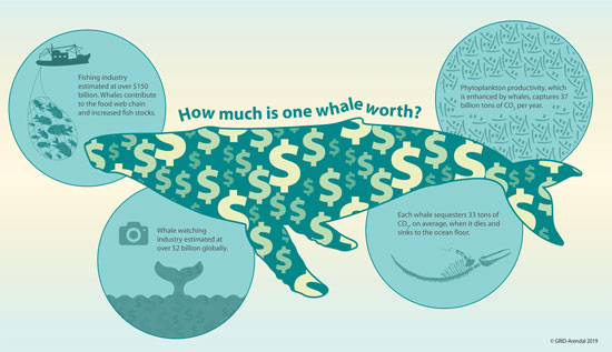 HarmSaeijs's tweet image. "To solve this #InternationalPublicGoods problem, we must first ask, What is the #MonetaryValue of a whale? Proper valuation is warranted if we are to galvanize businesses &amp;amp; other stakeholders to save the whales by showing that the benefits of protecting them far exceed the cost"