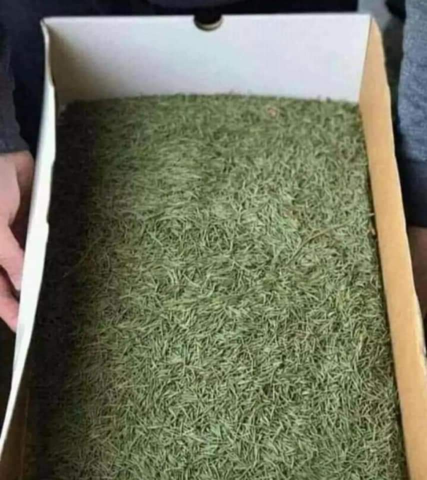 Our Xmas tree just arrived from IKEA 👏👏👏 gonna be a looooong day 🙈 #ChristmasIsComing 👀