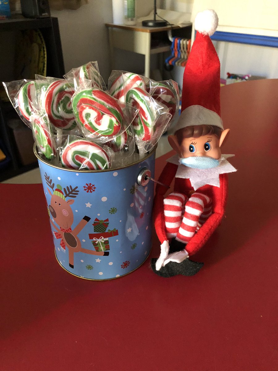 MrsLebano2's tweet photo. Look what our magic elf seeds that Buddy left for us to plant in sugar grew into!!!!🎄🎅🏼 https://t.co/B0BWhmOnOe