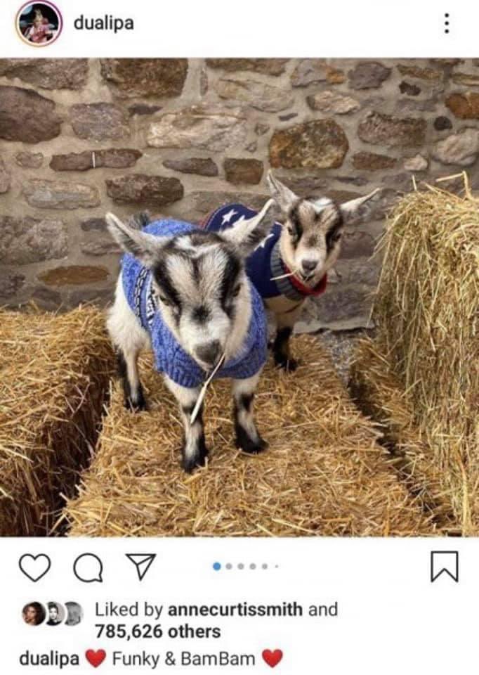 florecita de desierto💚🌵 tweet media