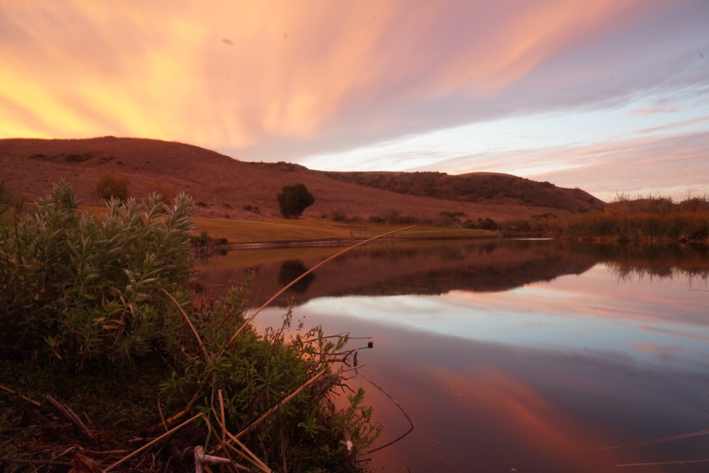 Michael Wolpoff,CGCS tweet media