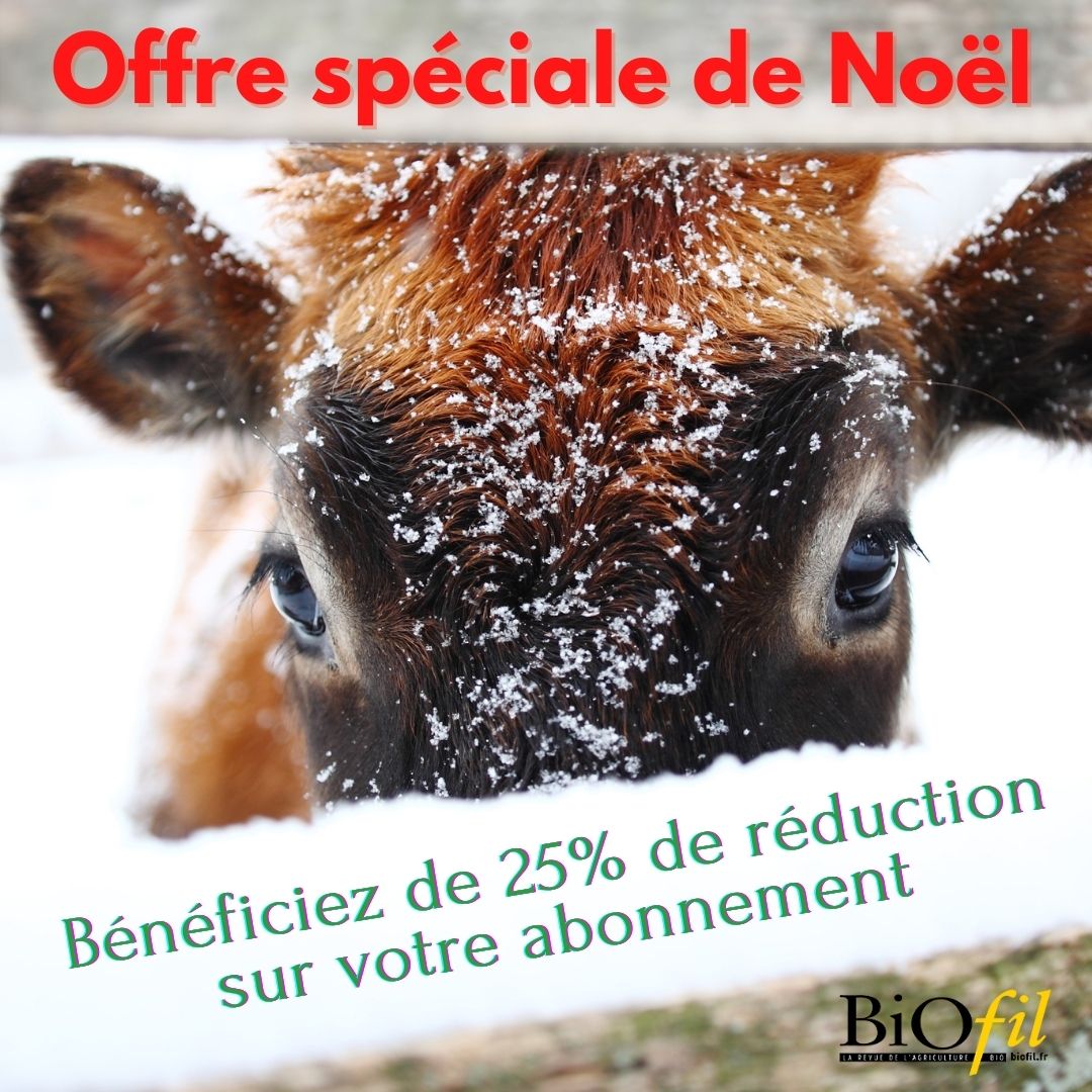 Revue_Biofil's tweet photo. Découvrez notre offre spéciale de Noël !

Pour profiter de cette offre, c'est par ici: https://t.co/jTLsoA1dsb https://t.co/Ly0PFgPvLA
