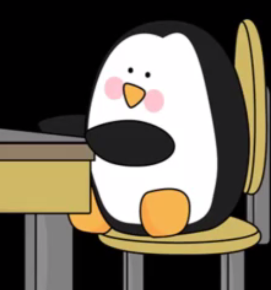 "I emailed a real person. Georgia wrote back. She warmly commented on my photos. She told me she was posting the welcome pack that day. When it arrived it was worth the wait. Personalised with photos, certificate, fact sheets..."Simone on Oamaru Blue Penguin Colony #IWITOT