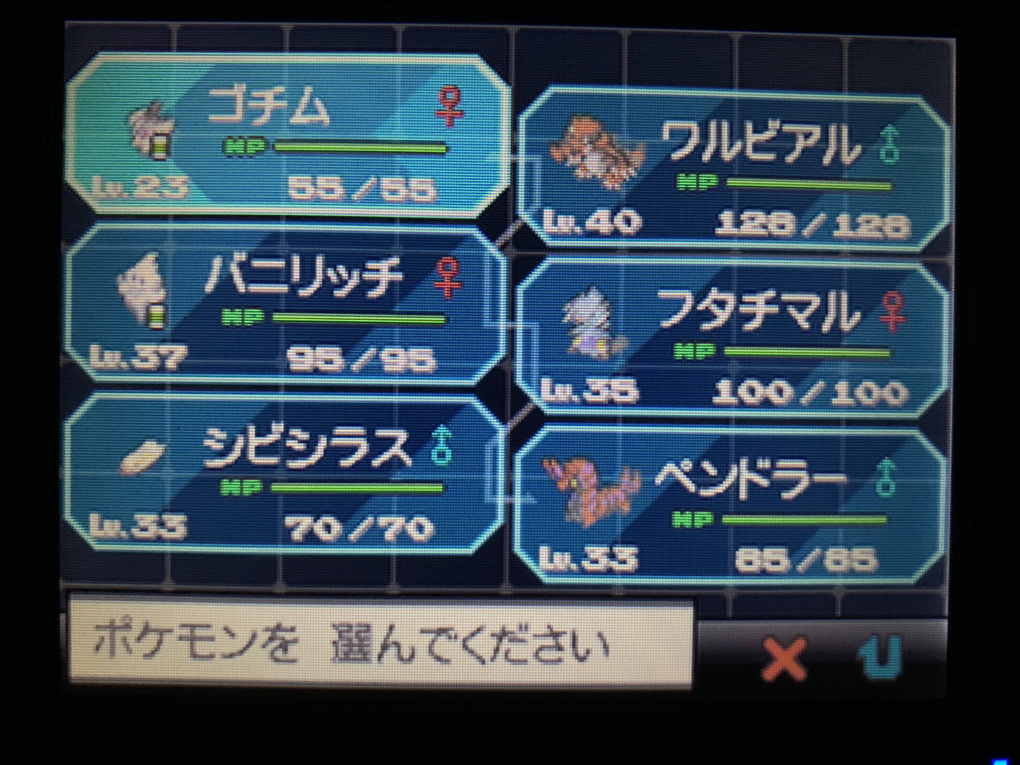 カリラ ポケモンlove メイプル再点火 ジェットバッジゲットだぜ ネジ山あたりでゴチムとシラス育て ワルビルがワルビアルに進化ッ ヒトモシはセッカジムで活躍させるからせいぜい期待してろよ ポケモン ポケモンブラック ポケモン カリラ ポケモンlove メイプル再点火 ジェットバッジゲットだぜ ネジ山あたりでゴチムとシラス育て ワルビルがワルビアルに進化ッ ヒトモシはセッカジムで活躍させるからせいぜい期待してろよ ポケモン ポケモンブラック ポケモン