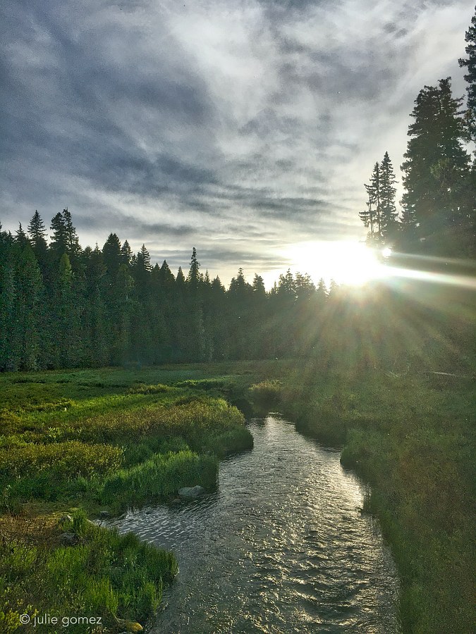 naturechronicle's tweet photo. in the meadow
evening sunbeams
spark the headwaters
#haiku #OakGroveFork #ClackamasRiver #MHNF #iphoneography https://t.co/nAGt6vneFr