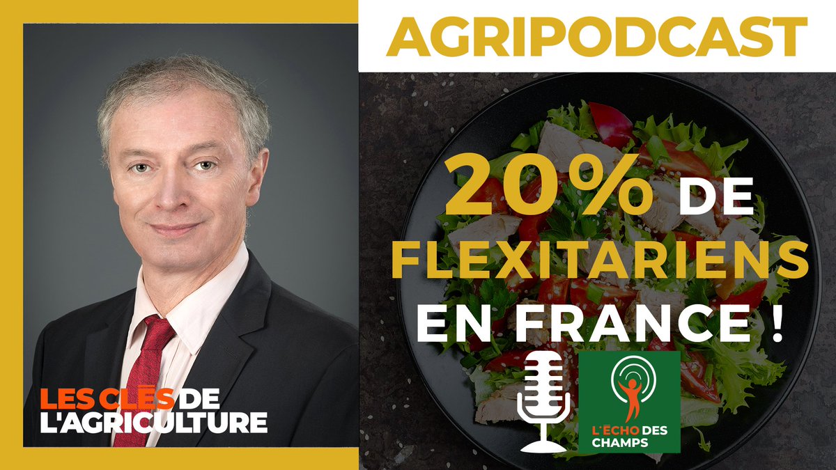 LCDAgri's tweet photo. [#AGRIPODCAST]
#Flexitarisme : une opportunité pour la chaîne #alimentaire ? 
👂 👉 https://t.co/lx758hCWBs

Entretien avec Yves Le Morvan, Responsable filières et marchés @SAFThinkTank.

✍️ Lire la note : https://t.co/4TlE5arzrc

#alimentation #agriculture #flexitarien #viande https://t.co/0JikXjL67D