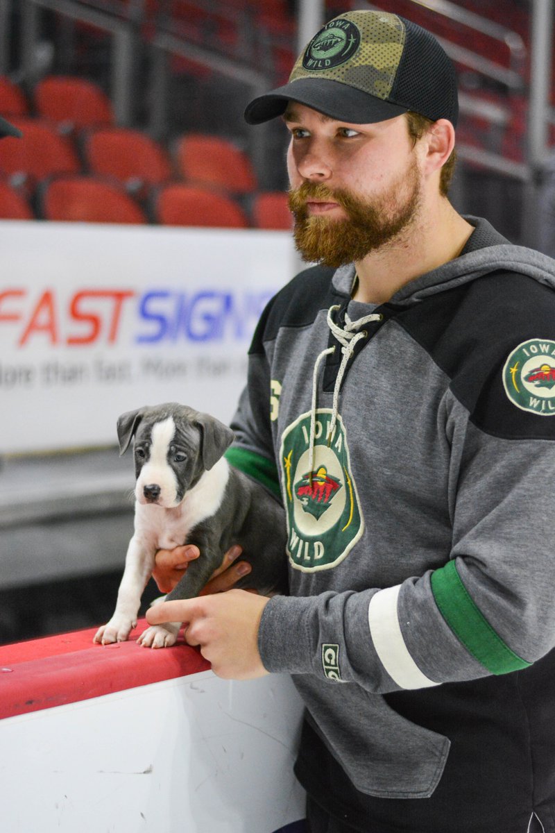 IAWild's tweet photo. Celebrate it up today, @MooseMcLain6! https://t.co/rHCTJkQHpU
