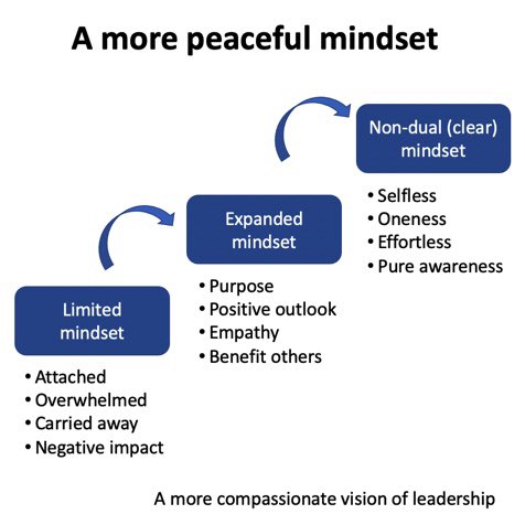We can transcend the unconscious, limited, and conditioned mind by cultivating positive qualities like kindness and compassion. Until the entire ecosystem of emotions, thoughts and beliefs are handled, leaving space to a more peaceful presence and reality. #nondualawareness