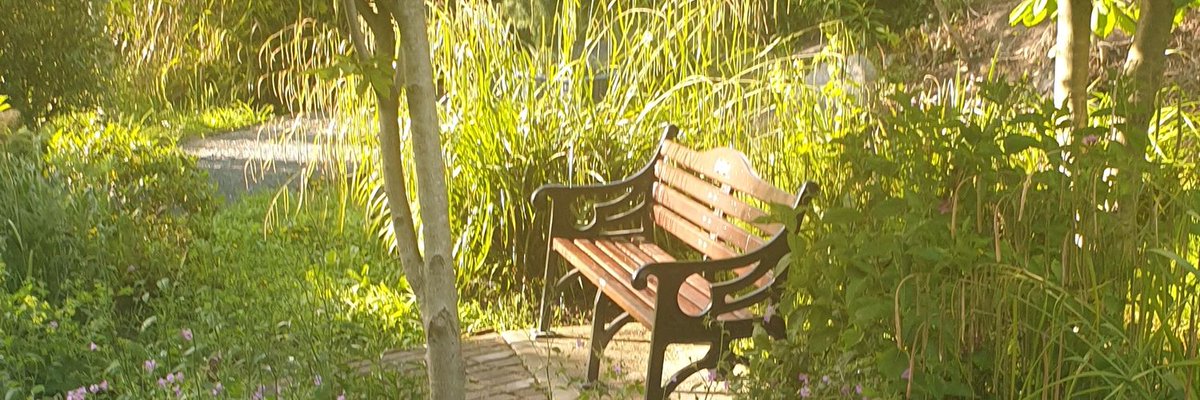 Come and sit with us for a while.......our gardens are beautiful and a real sanctuary if you want to just sit and take it all in.  Help us to maintain them #Rosslareharbour #Wexford ...if you have a spare fiver .....gofundme.com/f/help-us-main…