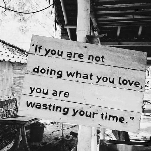 KaySnowWriter's tweet photo. "If you are not doing what you love, you are wasting your time." https://t.co/MEd2lifpSx