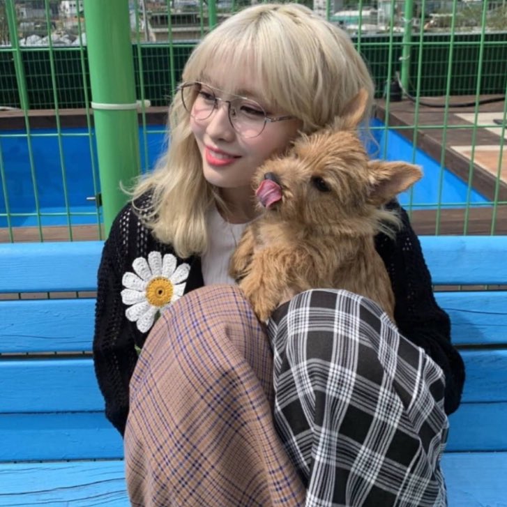 momo and boo being the cutest duo (a thread)
