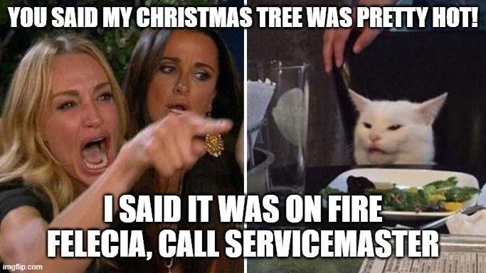 ServiceMasterMS's tweet image. Christmas tree fires can cause serious damage and injury. If you experience a fire this holiday season, whether small or large, we can help with the cleanup. Our fire repair experts are trained to help 24/7/365. Call us, we are the experts. 601.649.1131