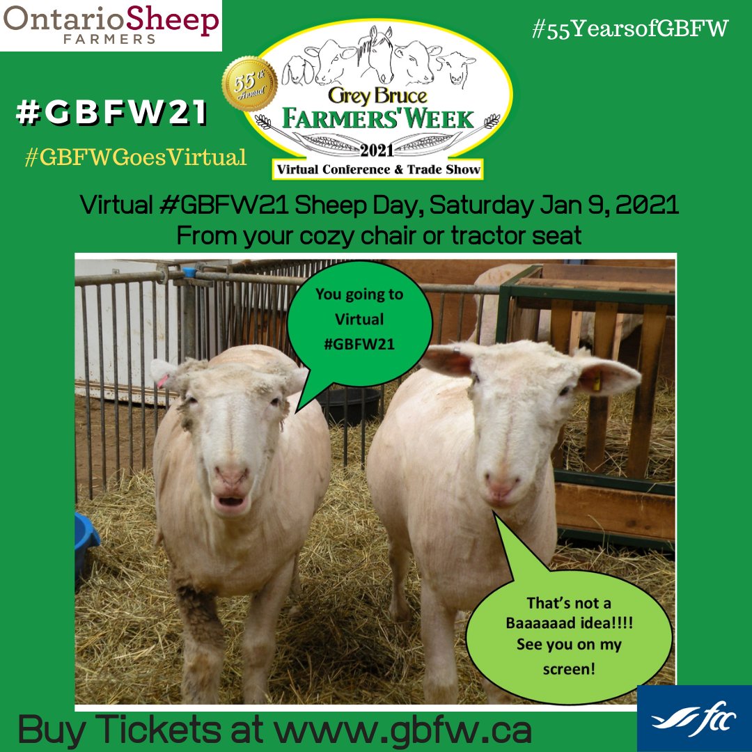 GBFarmersWeek's tweet photo. Don't miss #Virtual #Sheep Day of #GBFW21 - Jan 9.  A recommendation from these gals can't be a BAAAAD thing!
#OntAg #CdnAg #VirtualEvent #Farm365 #AgProud #Agriculture @OntarioSheep @LambCaucus @OntarioLamb #AgMoreThanEver #farming #Farmers #Farm #lambs https://t.co/MEGrvq4FxU