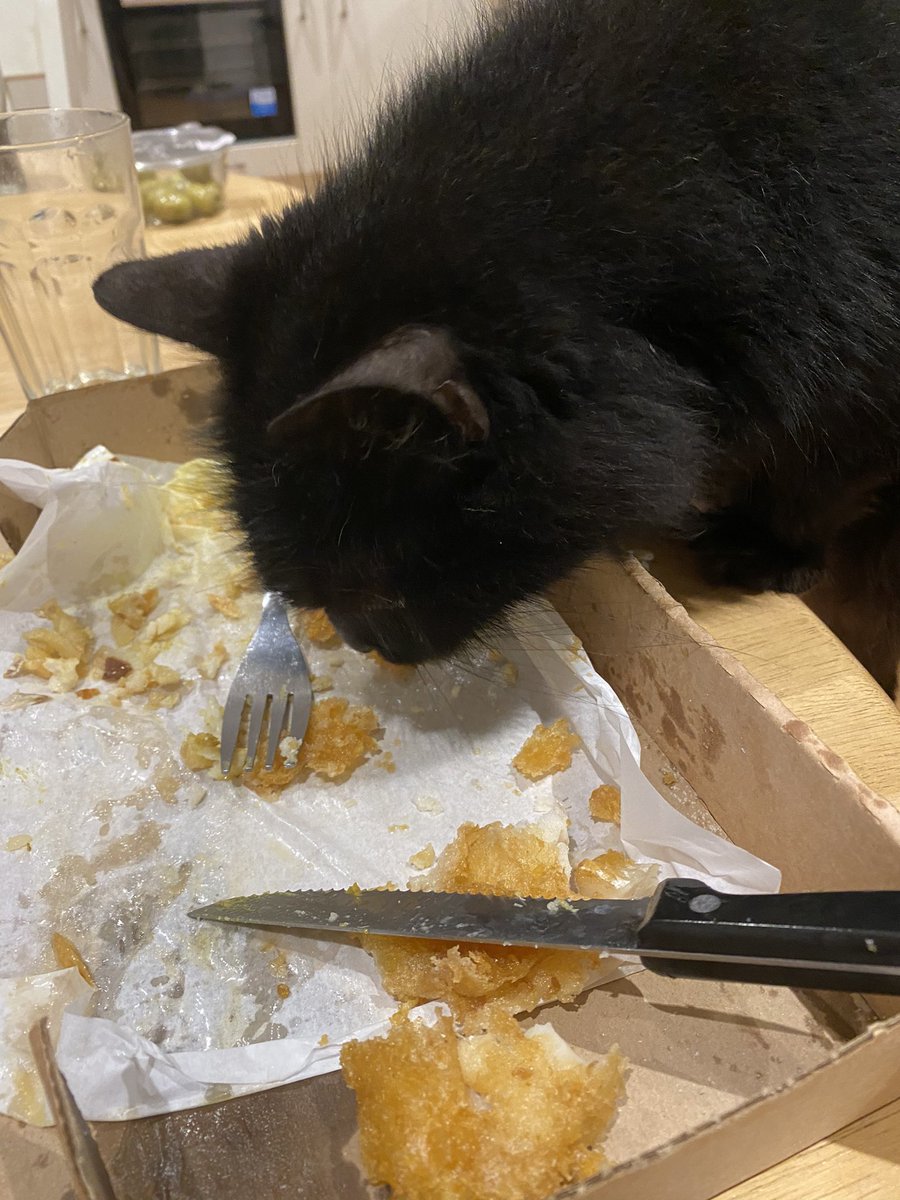 My cat as Ben MitchellA very important thread 