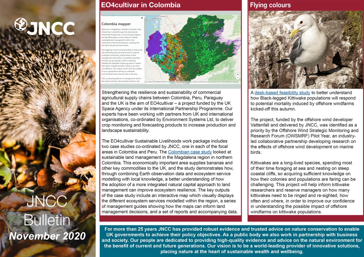 JNCC_UK's tweet photo. Our latest Bulletin is now online! This edition features a desk-based feasibility study to better understand the possible impacts of #offshorewindfarms on #kittiwakes, deep-sea research, celebrating biodiversity in Wales, and more... https://t.co/TuWg9cGJNc #conservationnews https://t.co/dcUltecGpc