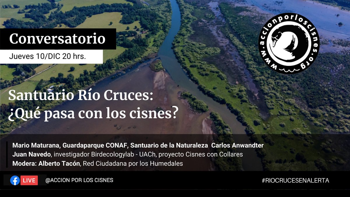 AccionporCisnes's tweet photo. #riocrucesenalerta #valdiviacl https://t.co/ofepYrqyD2