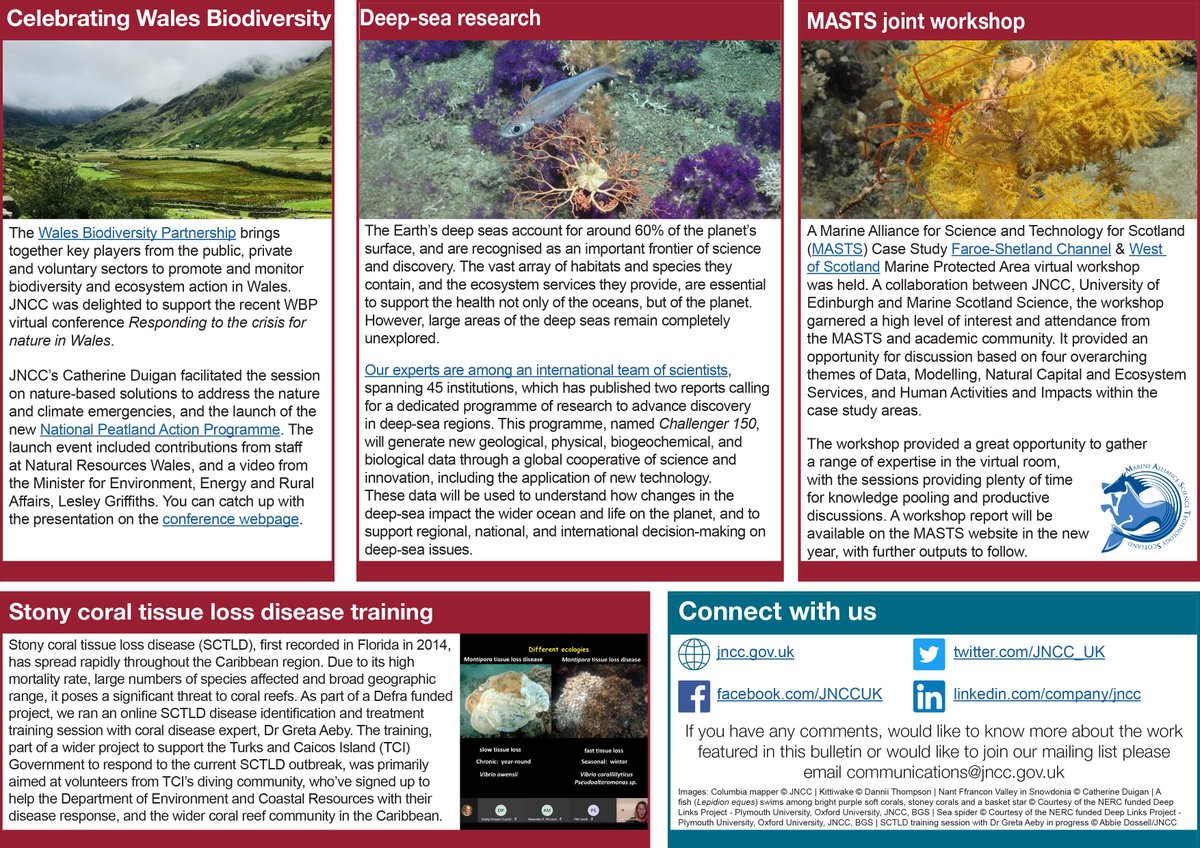 Our latest Bulletin is now online! This edition features a desk-based feasibility study to better understand the possible impacts of #offshorewindfarms on #kittiwakes, deep-sea research, celebrating biodiversity in Wales, and more... bit.ly/JNCCBulletinNo… #conservationnews